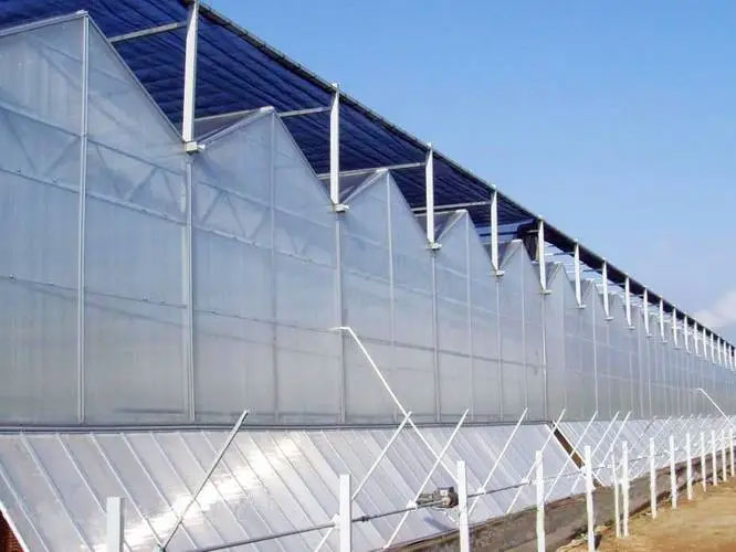 陽光板溫室