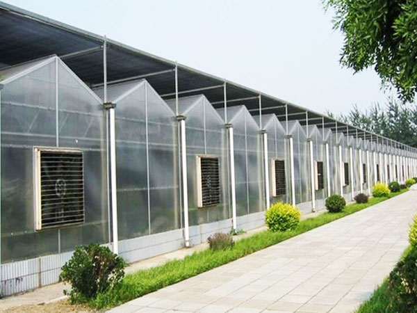 陽光板溫室