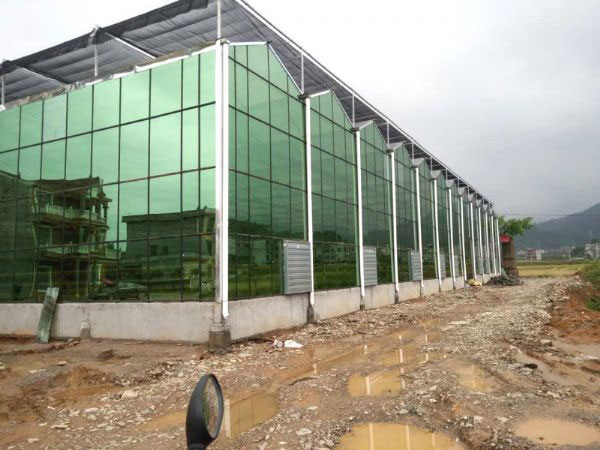 玻璃溫室