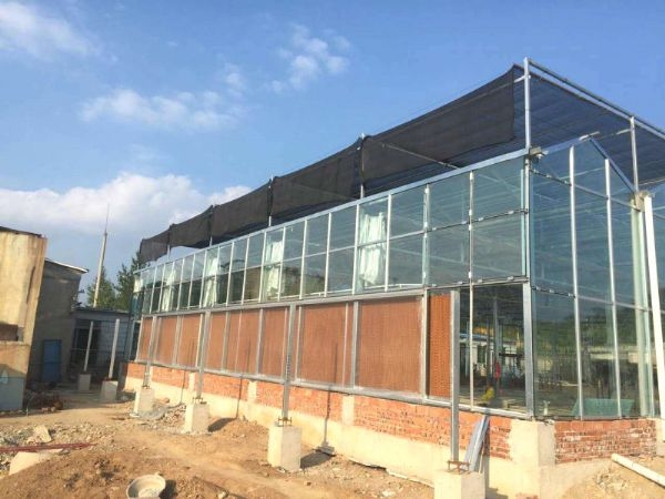 遼寧營(yíng)口溫室案例